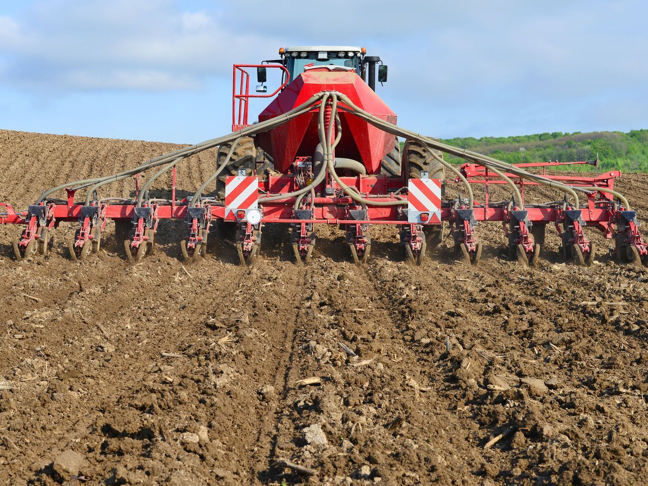 За словами Висоцького, згідно з найгіршими прогнозами, засіють приблизно 70% площ