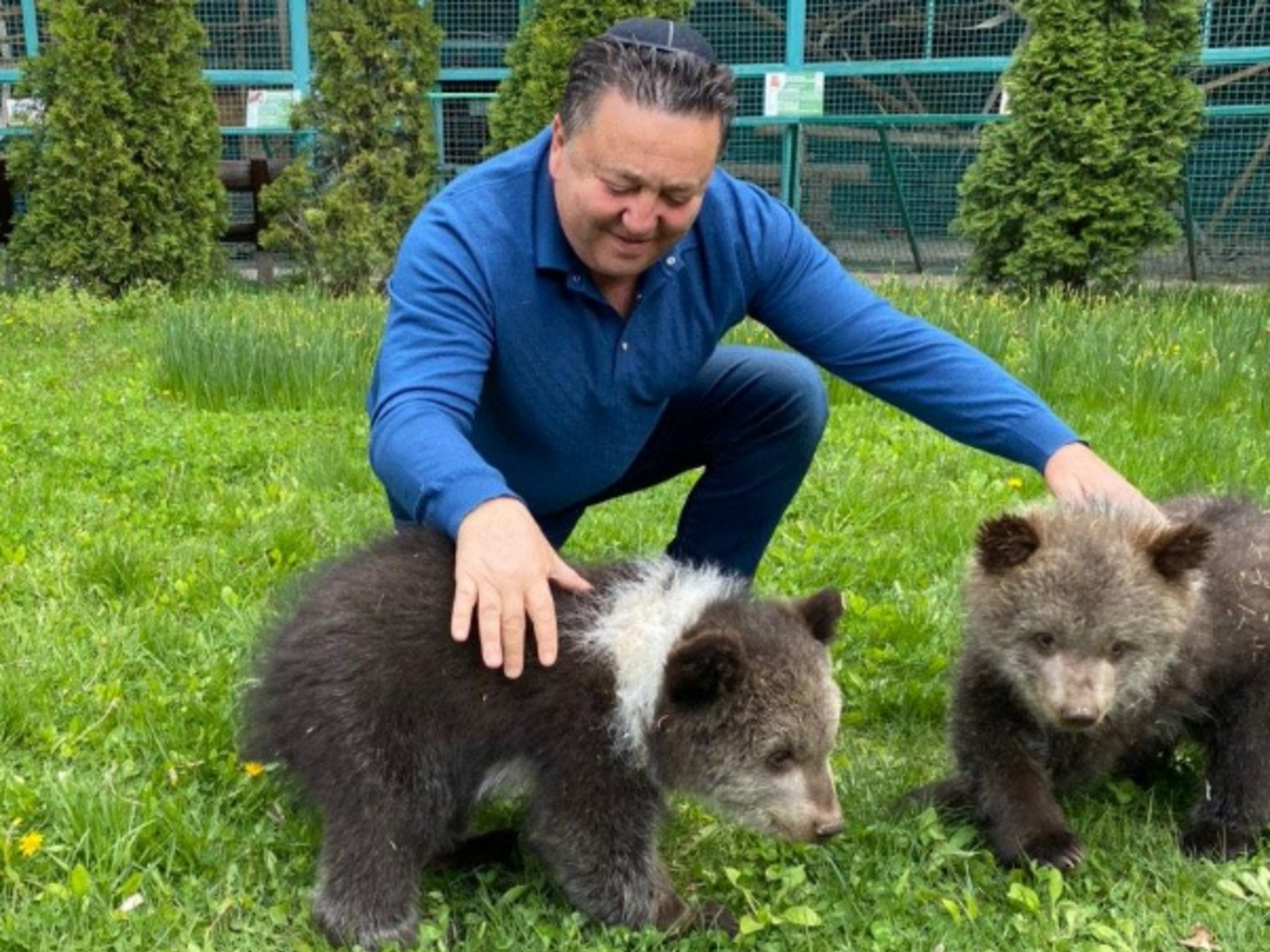 Фельдман сообщил, что для эвакуации всех животных из экопарка придется совершить еще 15&ndash;20 поездок