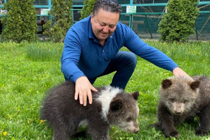 Фельдман сообщил, что для эвакуации всех животных из экопарка придется совершить еще 15–20 поездок