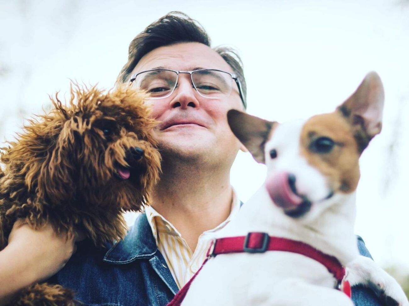 У Кулебы теперь, кроме&nbsp;Густава и Бенджи, есть третий пес по кличке Марик