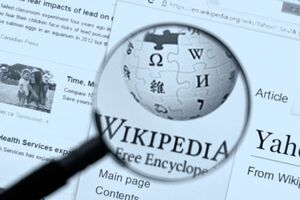 Претензії Роскомнагляду стосуються розділів статті про Путіна, у яких ідеться про відносини з Україною