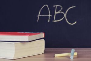 Оккупанты используют школы и их территории