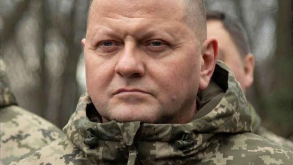 Залужный сообщал, что поддерживает с Милли постоянный контакт