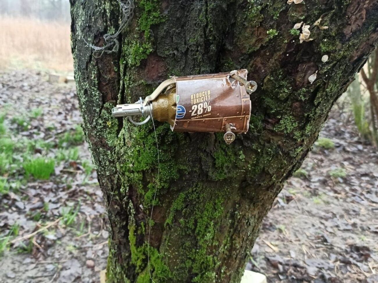 Жителей Киевской области&nbsp;просят не ходить по территориям, которые еще не обследованы на предмет наличия растяжек и мин