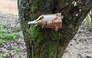 Жителей Киевской области просят не ходить по территориям, которые еще не обследованы на предмет наличия растяжек и мин