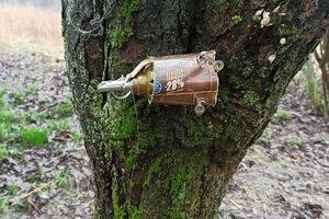 Жителів Київської області просять не ходити територіями, яких іще не обстежили на наявність розтяжок та мін