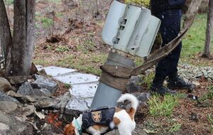 Патрон помог спасателям обезвредить десятки взрывоопасных предметов