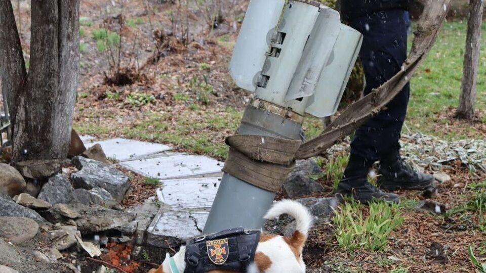 Патрон помог спасателям обезвредить десятки взрывоопасных предметов