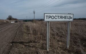 Ампулы с, предположительно, химическим оружием нашли в Тростянецком районе Сумской области