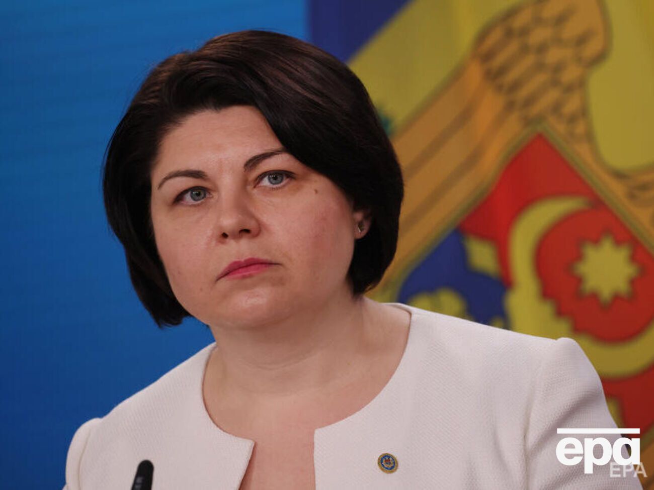 Гаврилиця ухилилася від відповіді на запитання, чи просила Україна в Молдови продати винищувачі