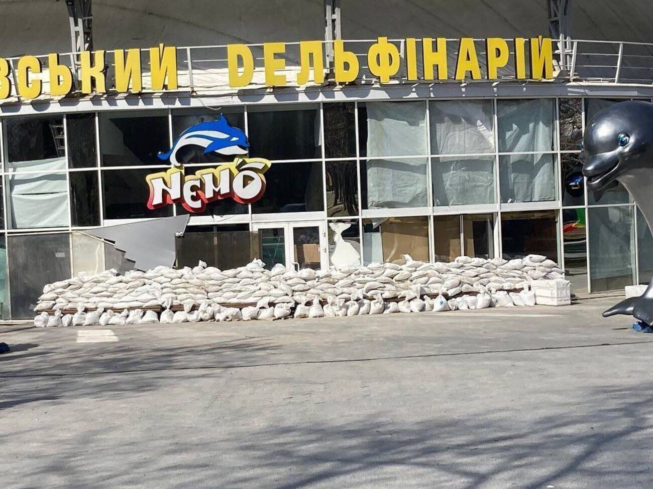 Коллектив дельфинария заявил, что его работа заблокирована из-за постоянных обстрелов