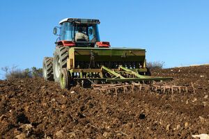 Украине угрожает потеря части урожая из-за нехватки рабочей силы