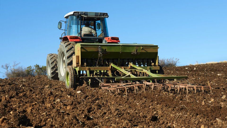 Украине угрожает потеря части урожая из-за нехватки рабочей силы