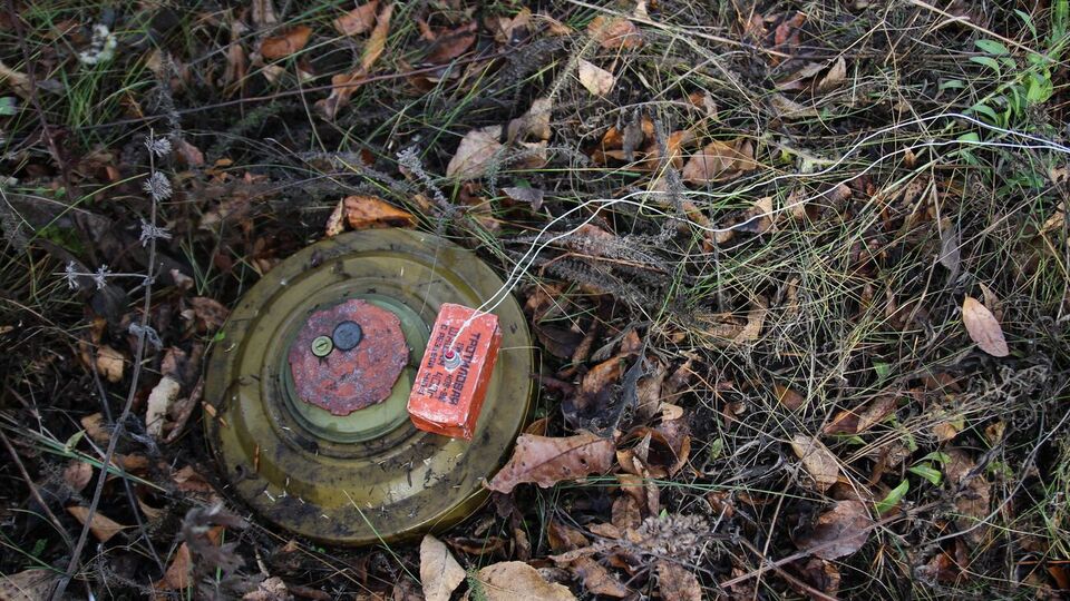Від початку повномасштабного вторгнення Росії рятувальники виявили у Чернігівській області 15 762 вибухонебезпечні предмети