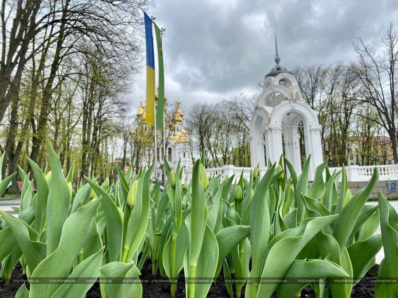 Фостер візьме участь у розробленні нового генерального плану Харкова