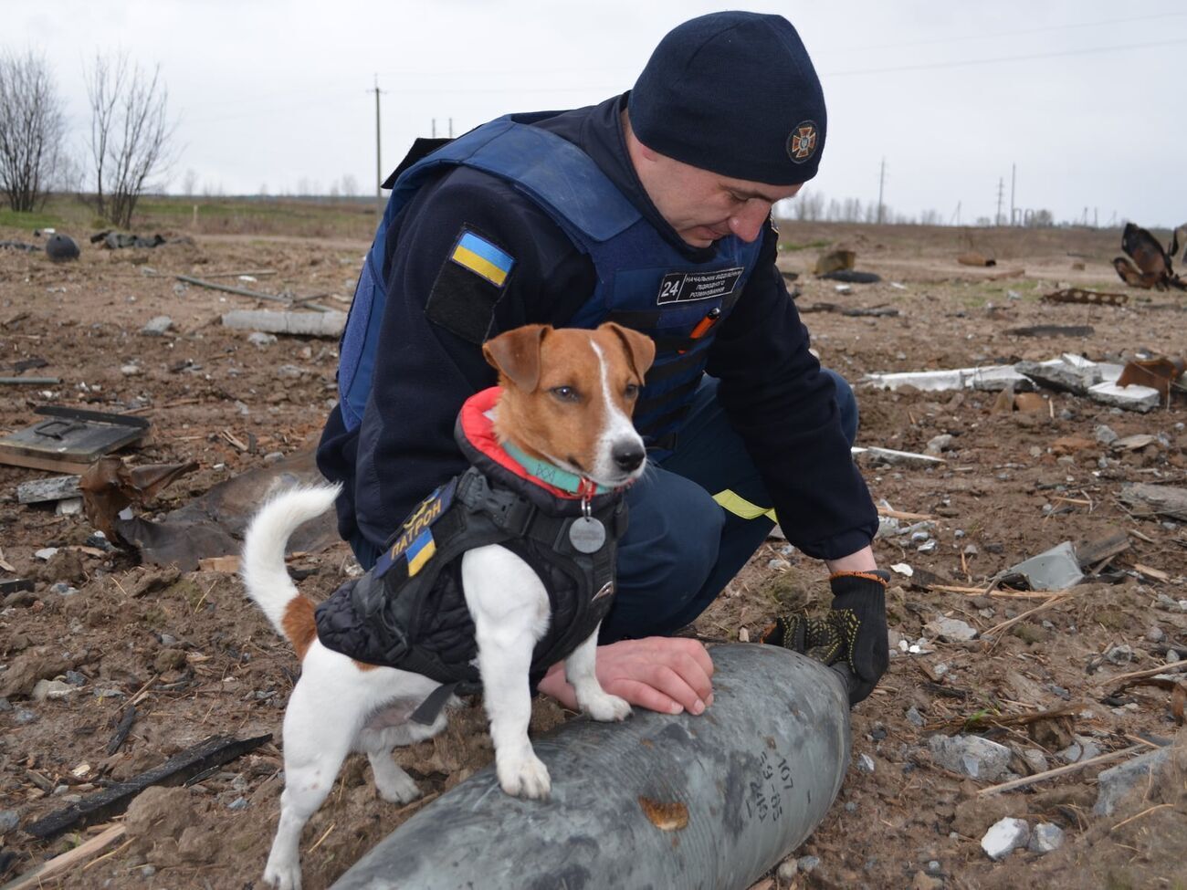 По предварительным оценкам, в Украине разминировать необходимо около 300 тыс. км&sup2; территории, отмечали в ГСЧС