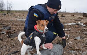 За попередніми оцінками, в Україні необхідно розмінувати приблизно 300 тис. км² території, зазначали у ДСНС