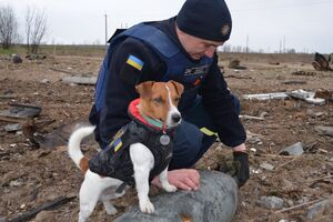 За попередніми оцінками, в Україні необхідно розмінувати приблизно 300 тис. км² території, зазначали у ДСНС