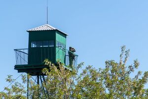Со стороны Приднестровья растет угроза проникновения ДРГ, отметили в Одесской ОВА