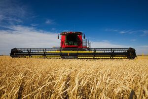 Из-за российской вооруженной агрессии в Украине сократятся площади посевов