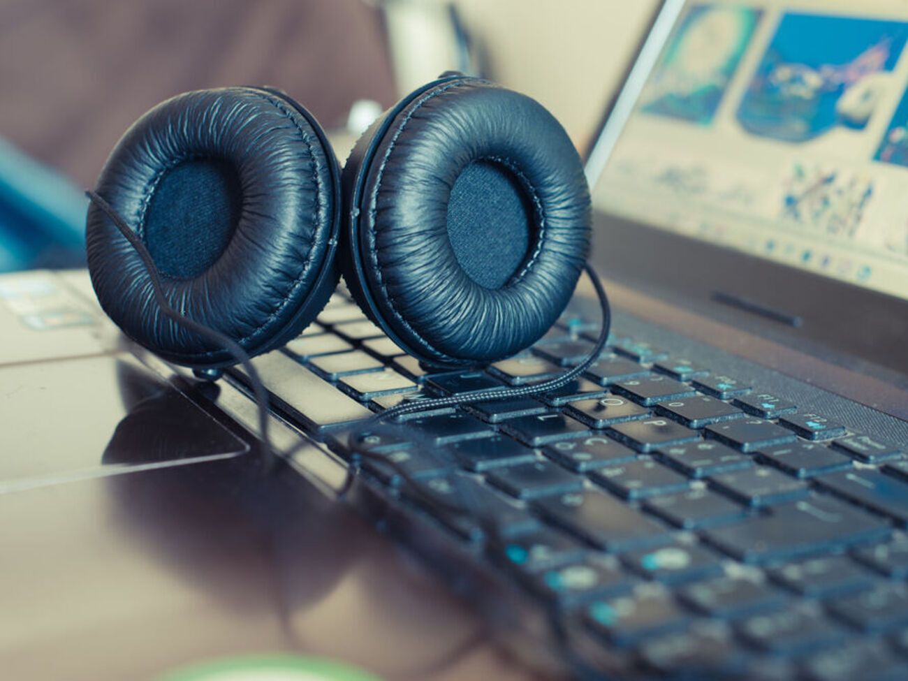 Горячая линия работает ежедневно с 8.00 до 22.00