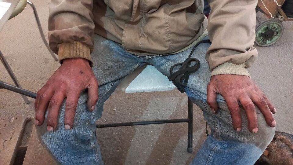 Чоловік та його собачка Жужа п'ять діб добиралися з Маріуполя до Запоріжжя
