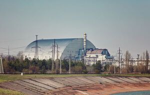 Информация, что оккупанты копали окопы в лесах в зоне отчуждения, подтвердилась