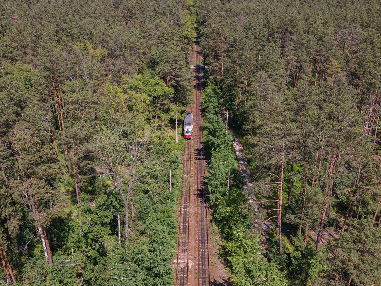 Как долго будет ограничен въезд в Пуща-Водицу, пока неизвестно