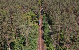 Как долго будет ограничен въезд в Пуща-Водицу, пока неизвестно