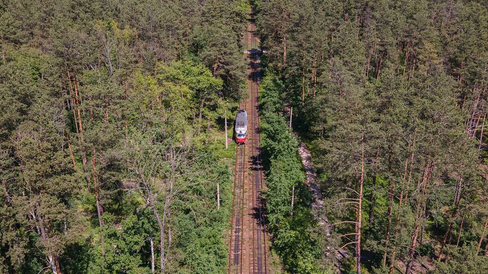 Как долго будет ограничен въезд в Пуща-Водицу, пока неизвестно