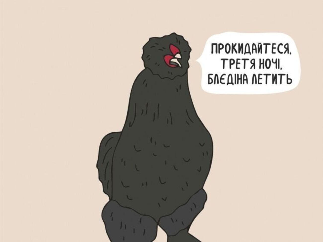 Словом "бледина" в Украине называют российские ракеты