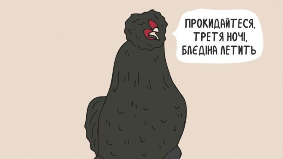 Словом "бледина" в Украине называют российские ракеты