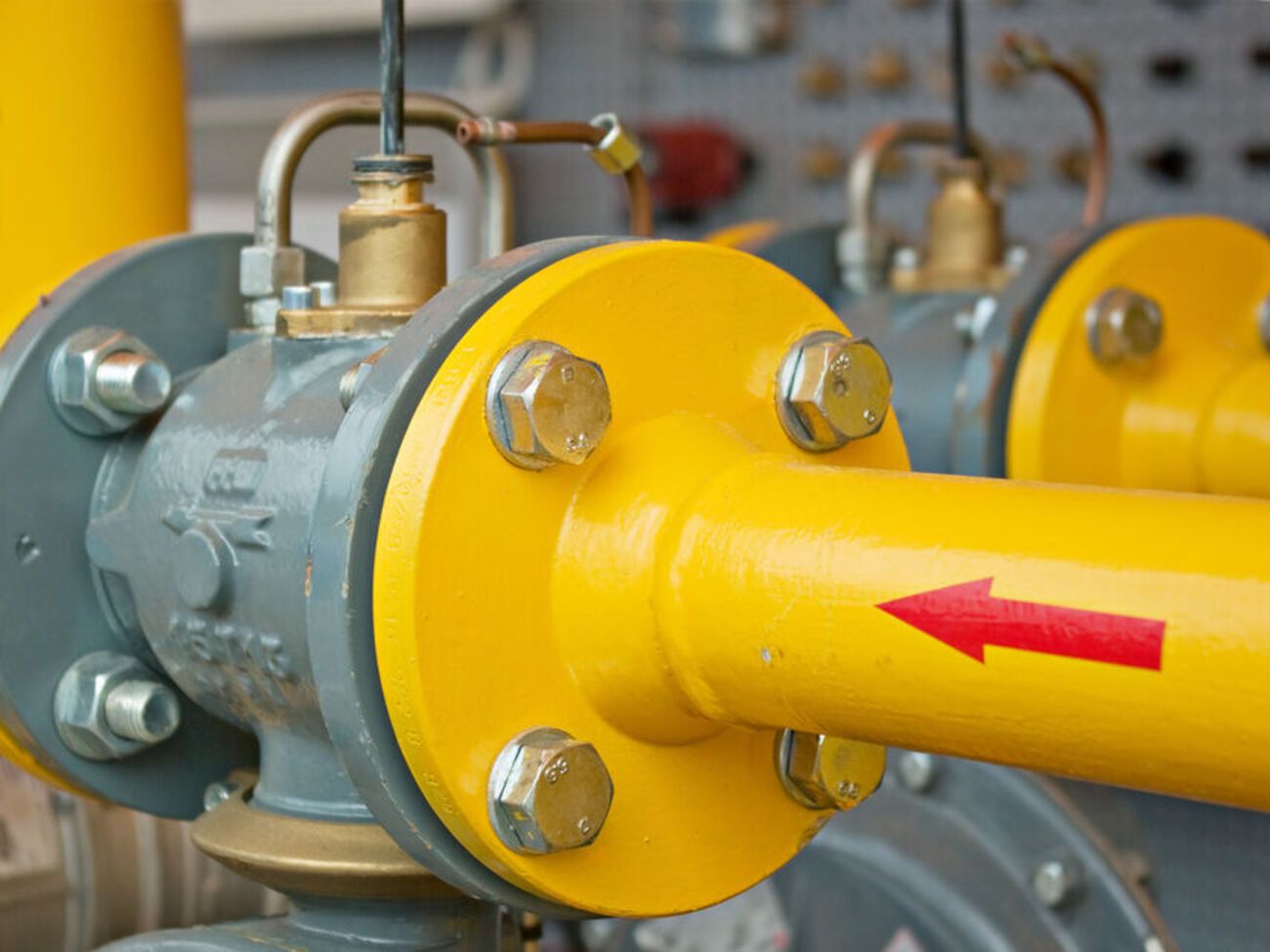 В основе энергетической безопасности и ценовых кризисов лежит слишком сильная зависимость от нестабильных поставок импортного газа, нефти и угля, убеждены авторы письма