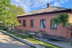 Живицкий сообщил, что от обстрела повреждены много частных домов