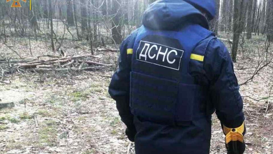 ДСНС назвала кількість загиблих внаслідок удару по Десні