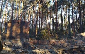 Продолжается бой с оккупантами на севере Шосткинского района, отметил глава Сумской ОВА (фото иллюстративное)