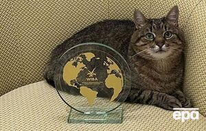 Кот Степан: Я очень-очень счастлив