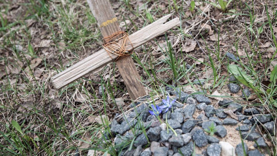 Із цих 800 загиблих в області майже 30 дітей