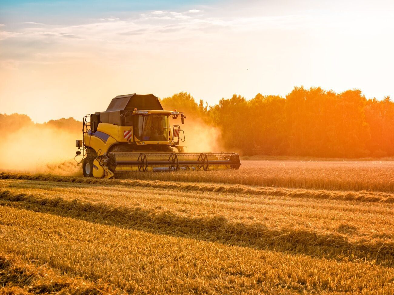 Оккупанты вывозят с временно оккупированных территорий сельскохозяйственную технику и зерно