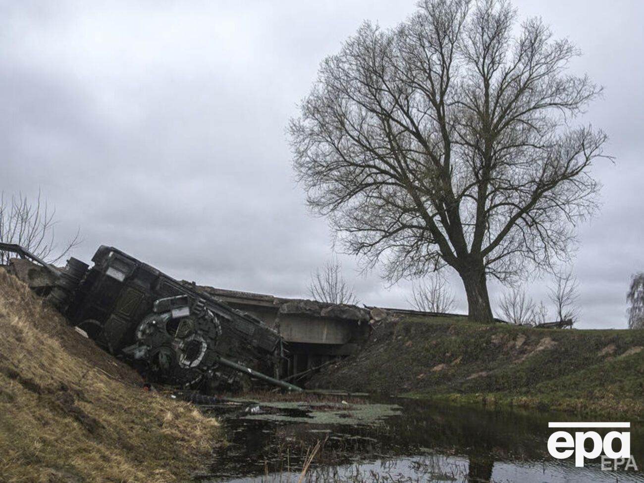 Вооруженные силы Украины уничтожили там более 80 единиц техники