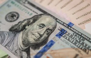 Офіційний курс гривні заморожено на рівні 29,25 грн/$