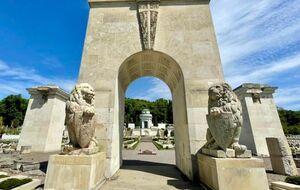 Львы были закрыты деревянными щитами с 2015 года