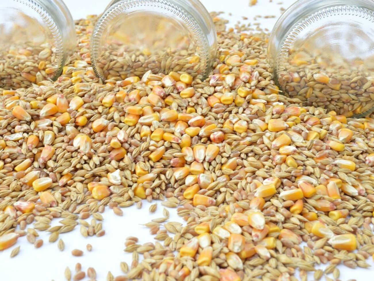 По данным СМИ, в портах Украины "застряли" около 25 млн тонн зерна