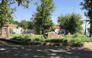 Памятник Пушкину демонтировали утром 21 мая