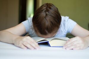 Россия заменила в учебниках по истории название "Киевская Русь" на "Русь"