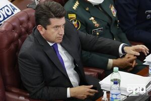 Молано: 11 военных инженеров будут обучать украинских солдат боевому разминированию