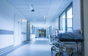 Станом на сьогодні в Україні не зафіксовано жодного випадку віспи мавп