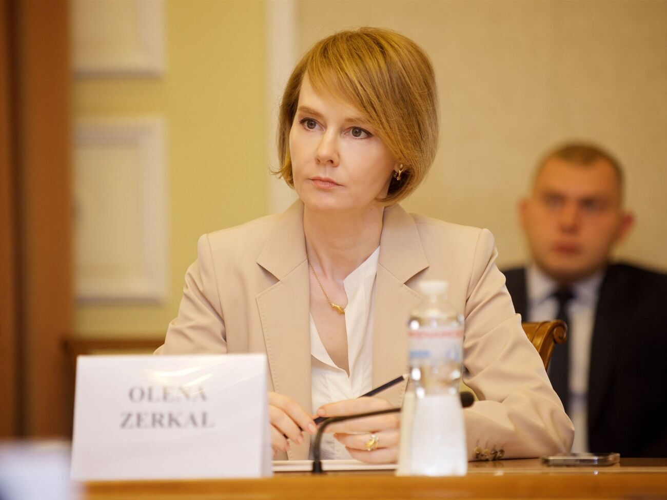 Зеркаль: Шкода, що ці кошти йдуть у бюджет РФ