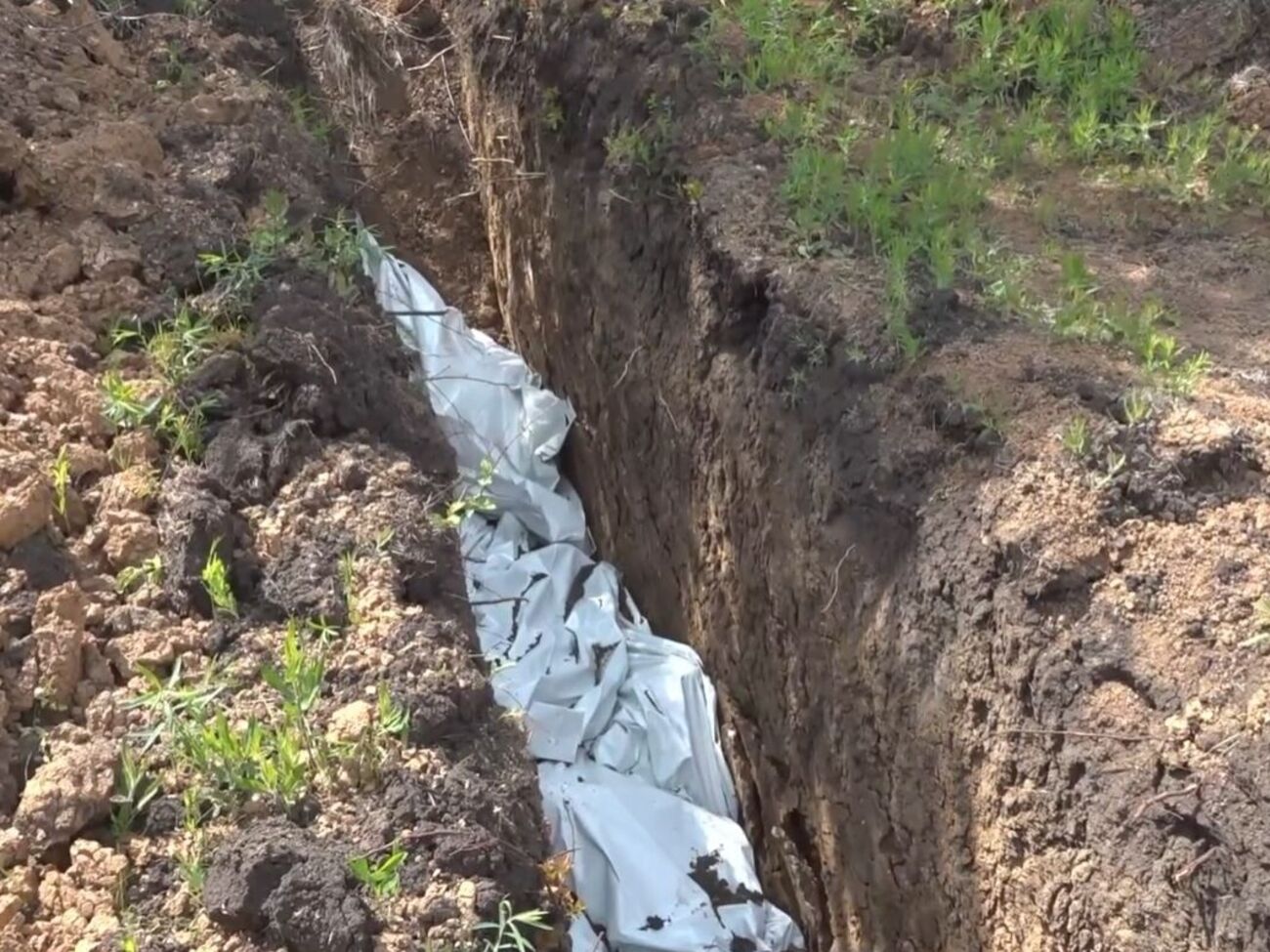 У братській могилі в Лисичанську поховали приблизно 150 мирних жителів