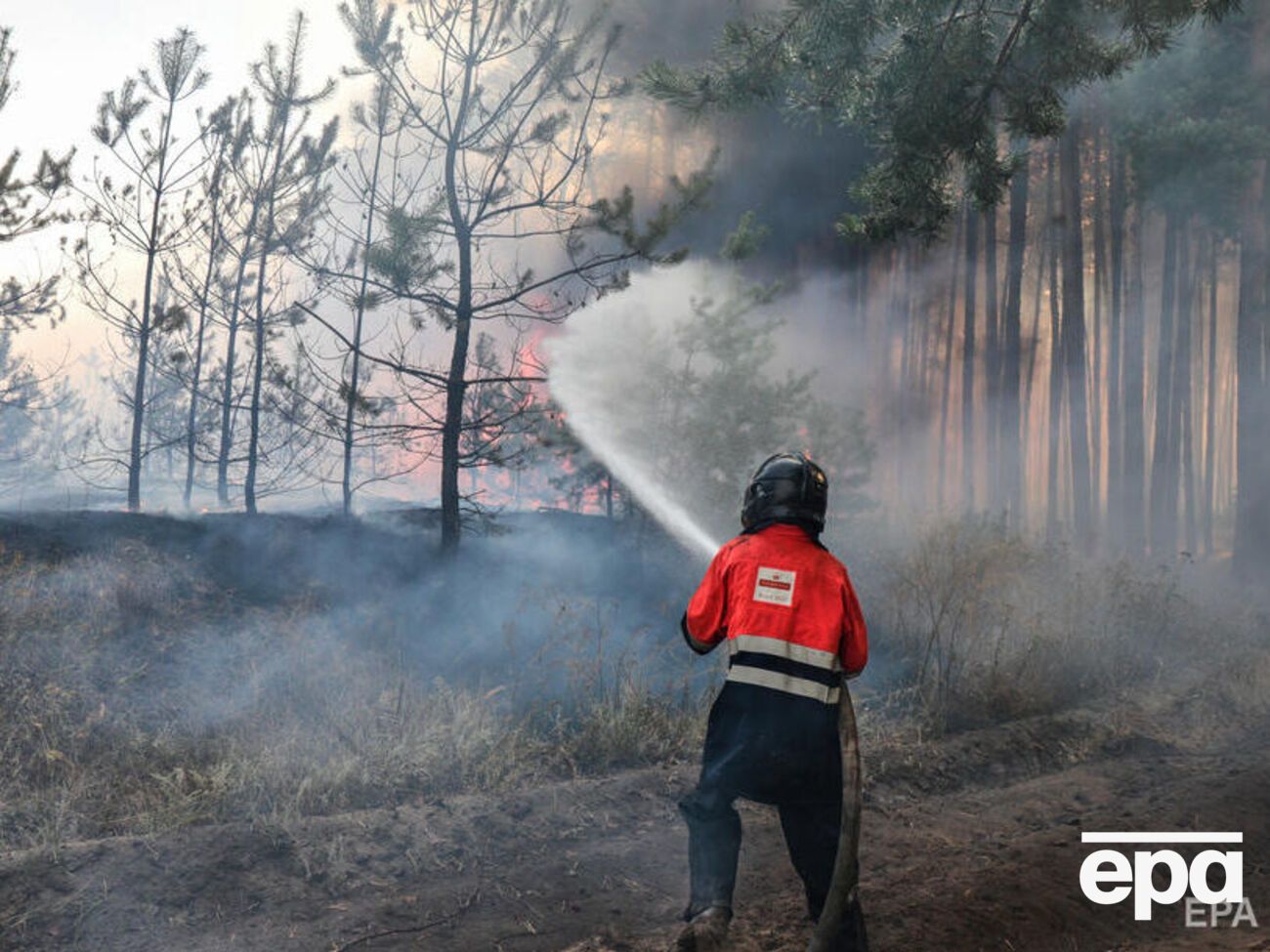 Збитки довкіллю внаслідок&nbsp; загорянь сягнули 38,4 млрд грн
